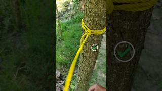 Perfect Knot for Outdoor Clothesline #knot #hacks #diy #tips #shorts #youtubeshorts