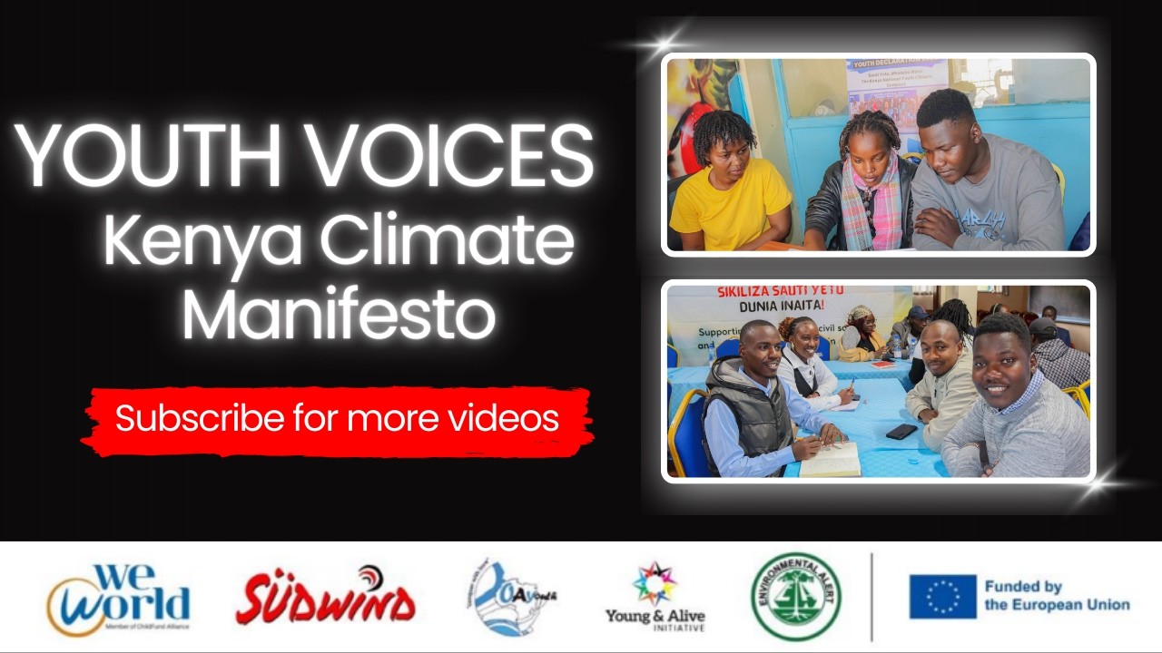 Youth Voices Shaping the Youth Climate Manifesto | Climate Action by Young People (PDF DAY 2)