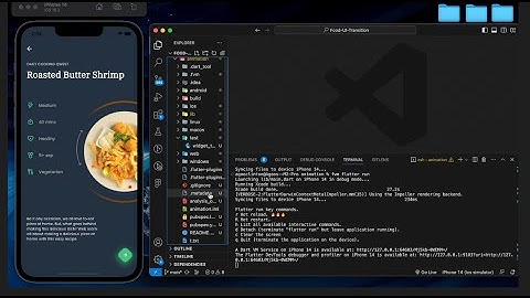 Food Delivery App Product Detail Animation IOS | Android Flutter