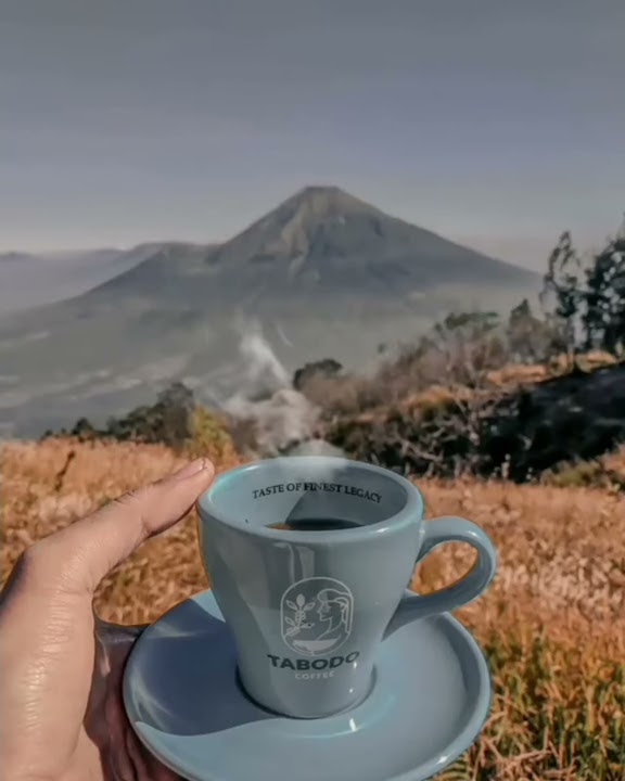 Story wa ngopi di gunung, Story wa ngopi, Story wa ngeteh
