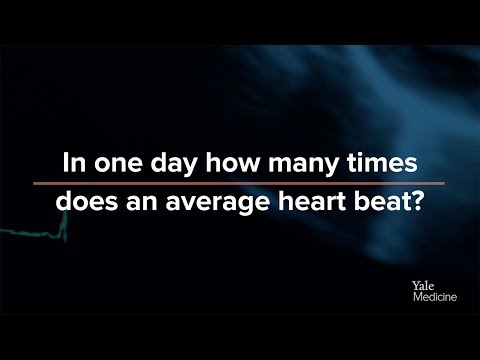 How Many Times Does Your Heart Beat Every Day?