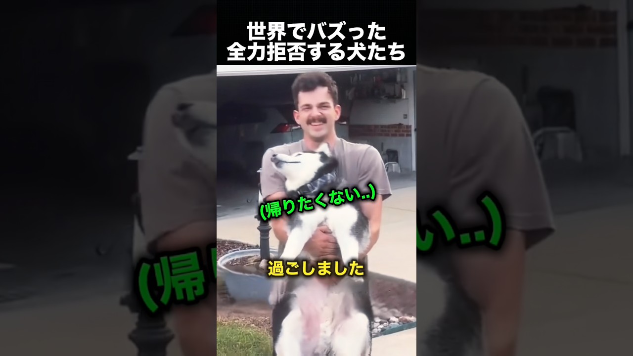 おばあちゃんに甘やかされすぎた犬の末路！