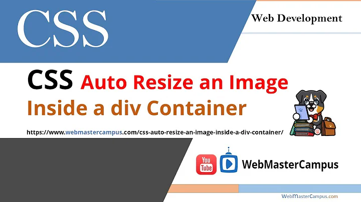 CSS Auto Resize an Image Inside a Div Container - DayDayNews