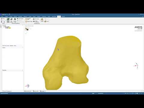 ANSYS SpaceClaim 2021R1 STL of Knee Joint convert to Geometry Part 1