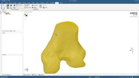 ANSYS SpaceClaim 2021R1 STL of Knee Joint convert to Geometry Part 1