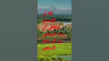 سورة العلق من الآية (٦) الي الآية (١٢)#quran #قران_كريم #eslamic #قرآن #سورة_العلق