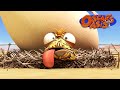 Baby Chicken Oscar COMPILATION | Oscar&#39;s Oasis | Kids Cartoons
