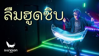 ลืมฮูดซิบ - แอน อรดี | ระนาดเอก (cover) | Fino the Ranad