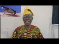 Tsetsefly that perched on.... #lesson #education #culture #entertainment #proverbs #foryou #funny.