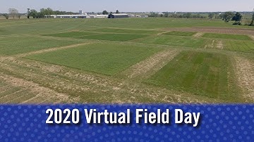 Ray Smith Intro to Virtual Field Day 2020