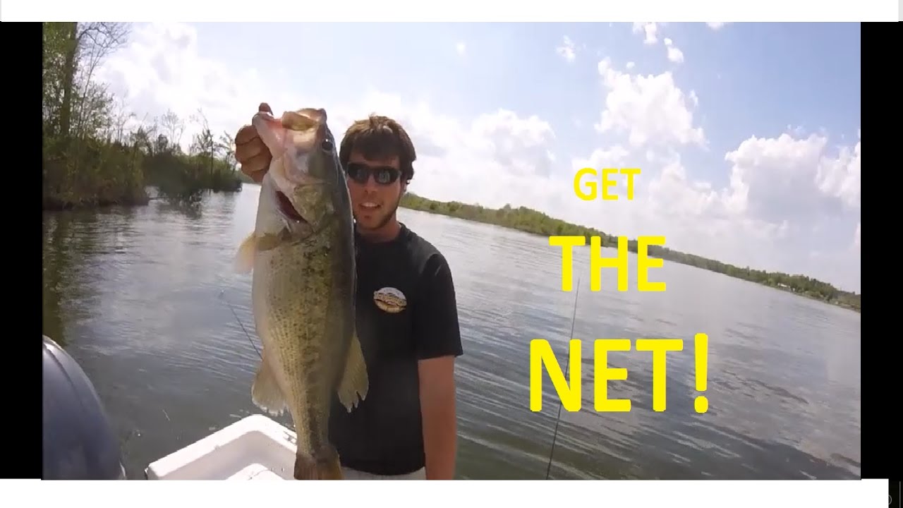I caught a GIANT bass (Randleman Lake, NC) YouTube
