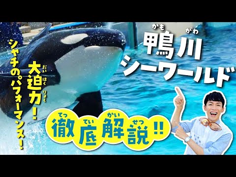 鴨川シーワールド
