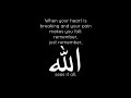Al Muslim المسلم's broadcast