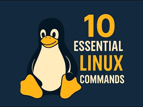 10 Essential Linux