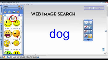 Web Image Search