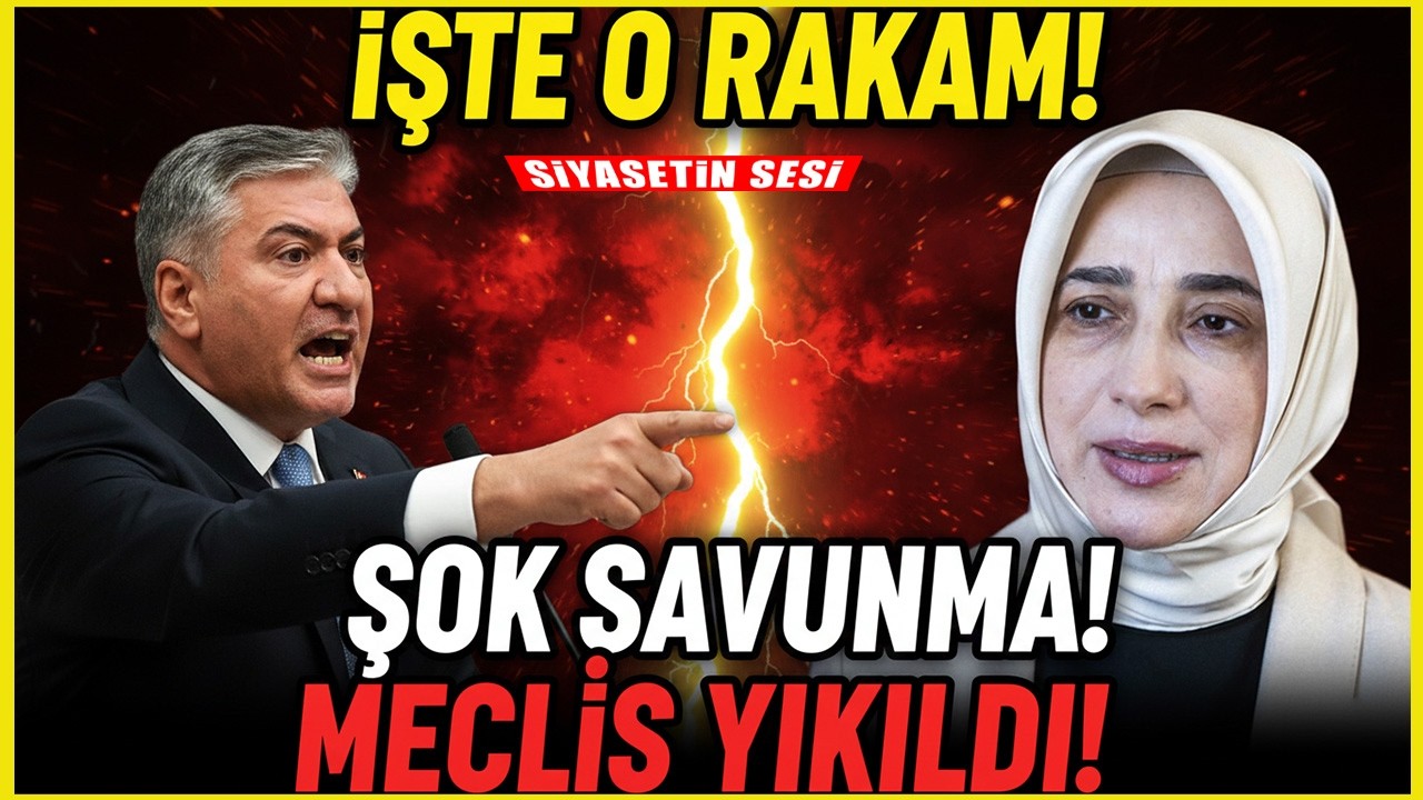 AKP'li Özlem Zengin Dondu Kaldı! Murat Emir Emekli Maaşını Mecliste Açıkladı!