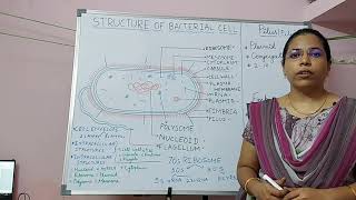 A brief introduction on Bacterial cell structure.