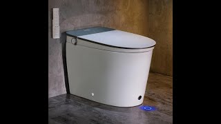 Review Casta Diva Cdk030Pro Smart Toilet Auto Open Lid 1000G Map Flush