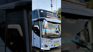 tampian trans | ratu gemoy #busmania #basuribussid #automobile #mobilbasuri #fyourpage #buspariwisa