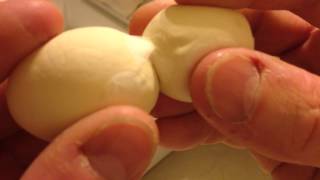 Separating green tree python eggs