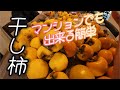 マンションでも出来る干し柿の作り方！#干し柿 #柿#vlog
