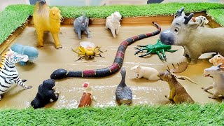 모래상자에 갇힌 아프리카 파충류, 농장 동물, 사파리 동물들 | 뱀, 낙타, 얼룩말 screenshot 3