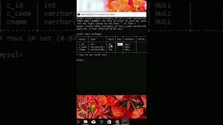primary key in sql