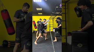 Basic techniques for kickboxing