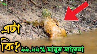 এটা কি ৯৯.৯৯% মানুষ বলতে পারেনি Miracle of allah