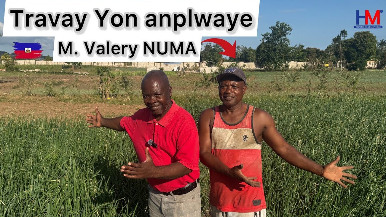 Yon employé  Mr Valéry Numa choke nou ak paròl sa yo 🇭🇹 Le Recul #Ayiti nouvèl Deklarasyon cho Ayiti