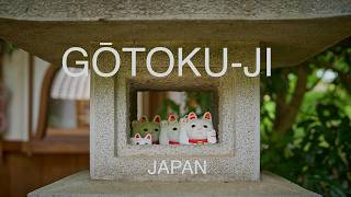Lucky Cat Temple in Tokyo - Gōtoku-ji 🇯🇵 screenshot 4