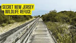 Visiting The Cape May National Wildlife Refuge