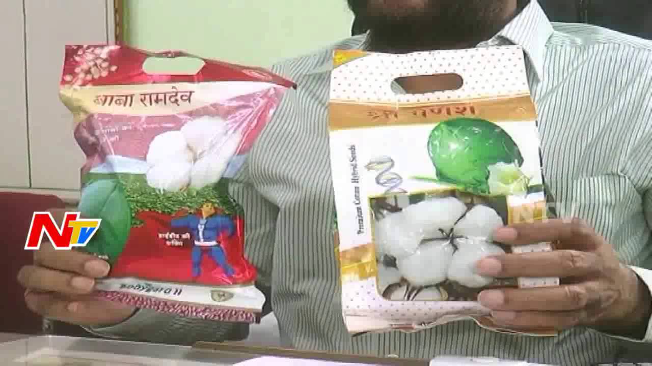Fake Seeds Mafia Hulchul in Adilabad District | NTV