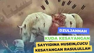 Dzuljannah Kuda kesayangan Sayyidina Husein,cucu kesayangan Rasulullah