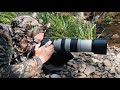 Canon EOS RP For WILDLIFE PHOTOGRAPHY?! (Pros & Cons, Discussion, & Tips For Best Results)