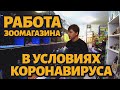 Работа зоомагазина в условиях коронавируса | Принимаем рыбу