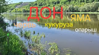 РЫБАЛКА НА ДОНУ НА ЯМЕ. ЧЕРВЬ, ОПАРЫШ, КУКУРУЗА.