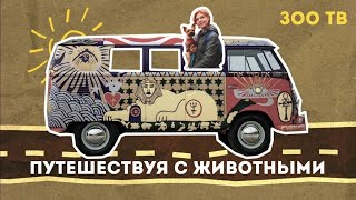 ЗОО ТВ Путешествуя с животными. С собакой на машине в Плёс. Woof Travel Vanlife