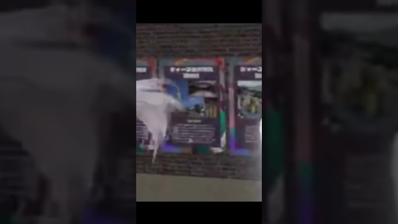 Я запер своих друзей в этом мире VRChat.