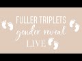 Fuller triplets gender reveal!!!