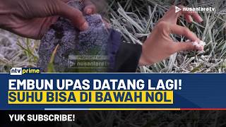 Embun Upas di Dieng Diprediksi Capai Puncak pada Agustus, Suhu Bisa di Bawah Nol | NTV PRIME