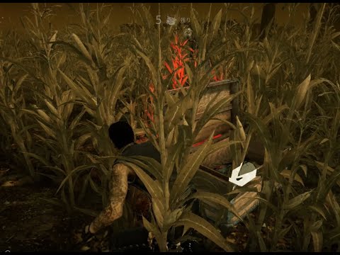 【DbD】ナースとフルチェイス？【DeadbyDaylight】