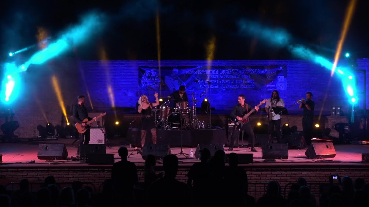 Frank Rock And Blues · Shake! Soul'n'Roll