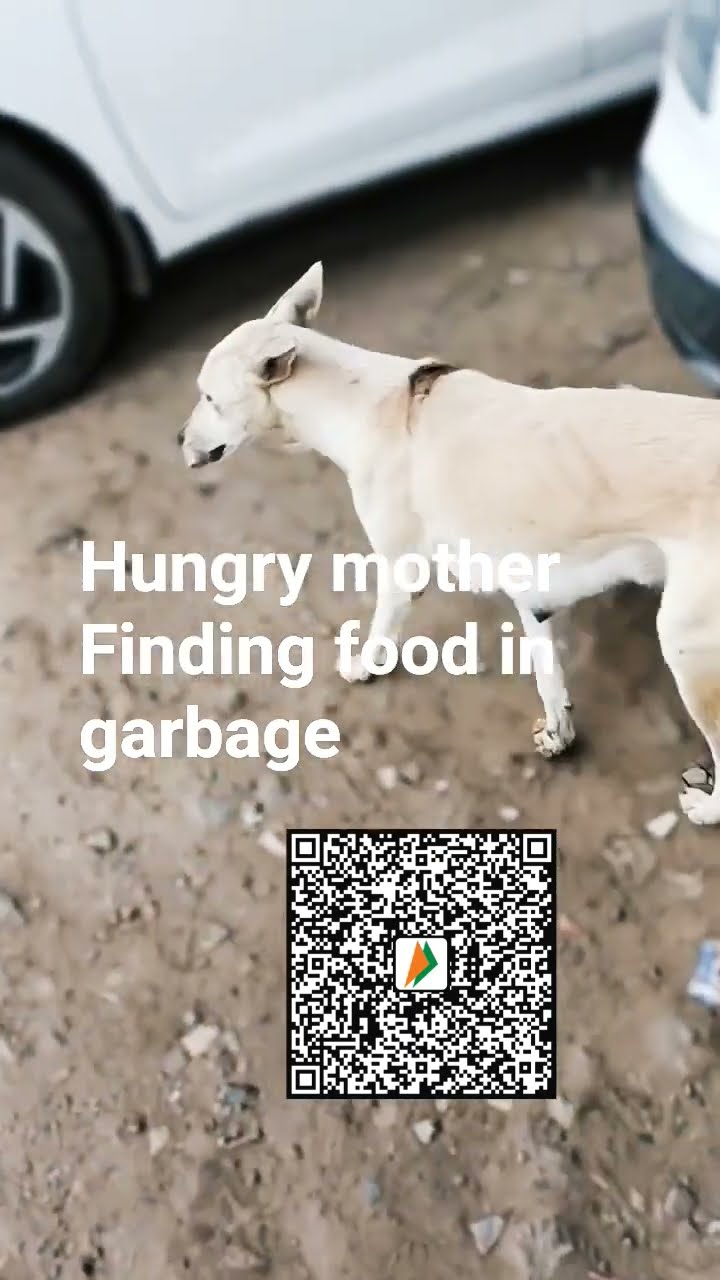 😘रोमांटिक सॉन्ग - ShareChat