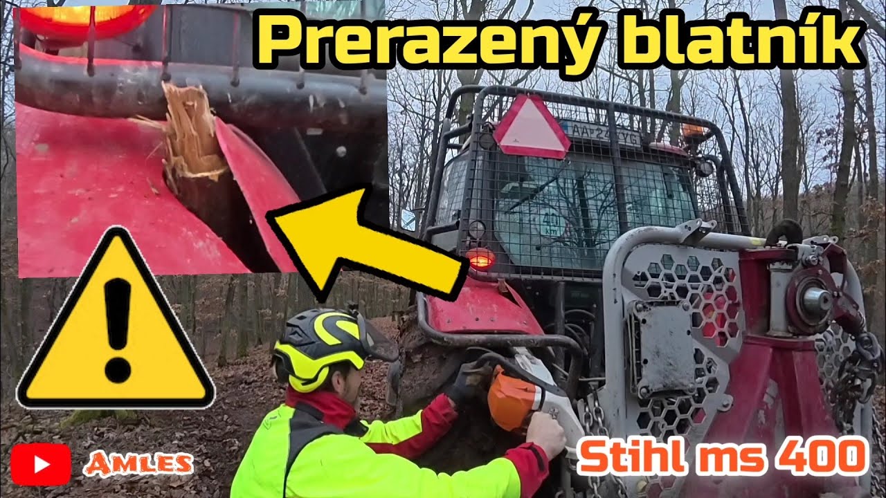 Пробитый бампер во время валки дуба! Погрузка древесины с помощью бензопилы Tatra 815 | Amles, Stihl