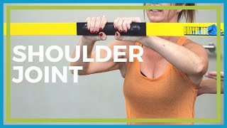 Shoulder Joint - Mobility, Dynamic Movement, Range of Motion, Stability