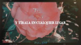 Download Lagu Dream | The Poles ( Sub Español ) MP3