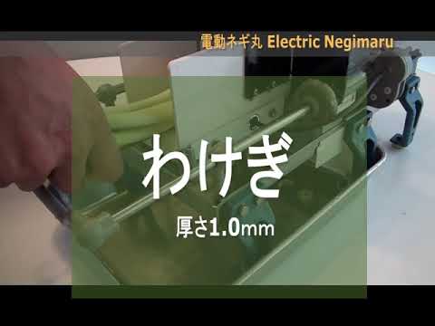 動画