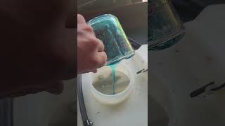 How to kill gypsy moths/ caterpillars without pesticides. with dish soap. guaranteed to work