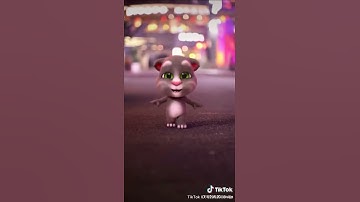 Thumbnail of Nhạy theo điệu nhảy của các chú mèo nào các bạn ơi - Colors | Flowi